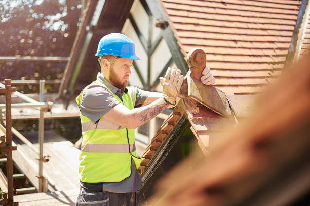 Best Metal Roofing Contractor  in La Crosse, WI