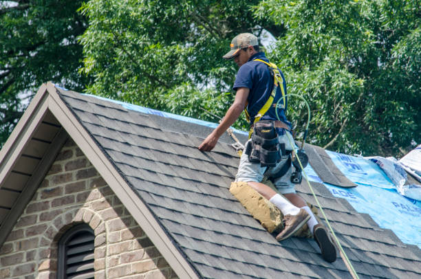 Best Slate Roofing Contractor  in La Crosse, WI